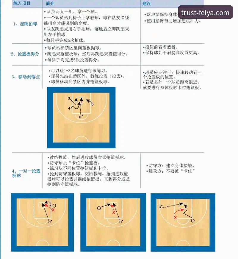飞亚体育竞技平台全面解析：新手入门到精通的操作指南