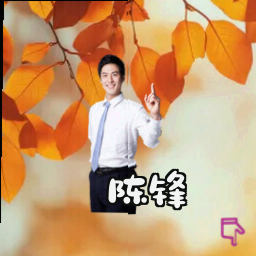 陈锋